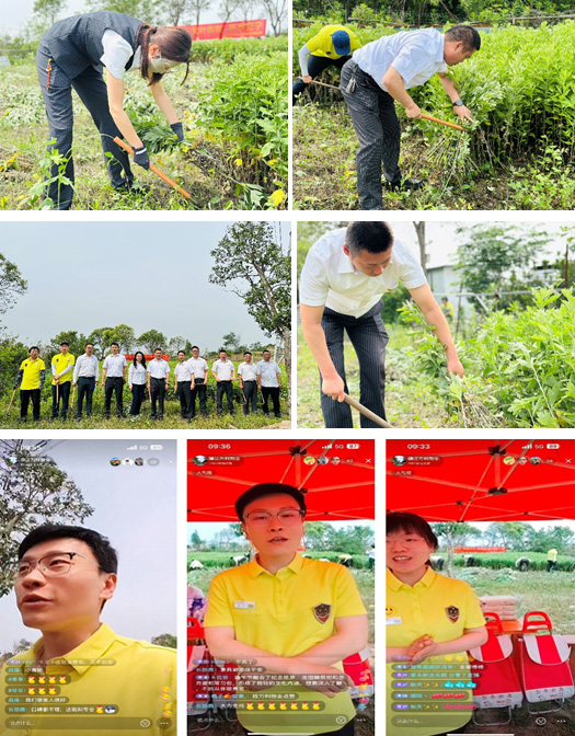 1748401261392858.jpg 1.jpg