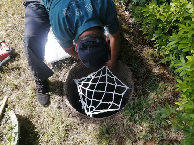 1753770357335304.jpg 25.jpg