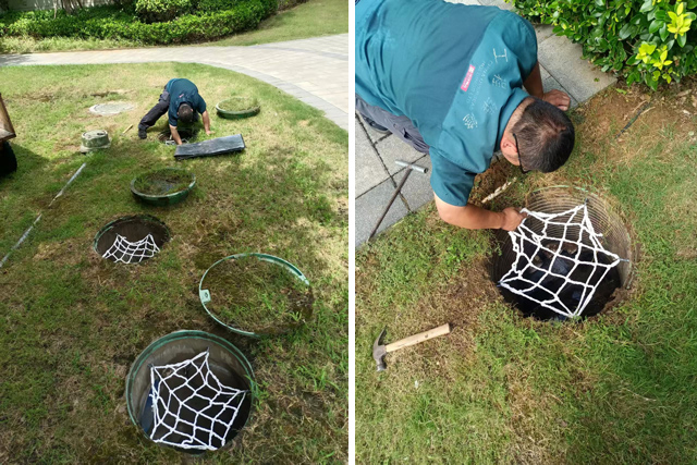 1753770422915636.jpg 未标题-1.jpg