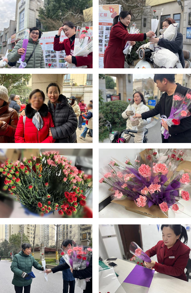 1774588707165478.jpg 1.jpg