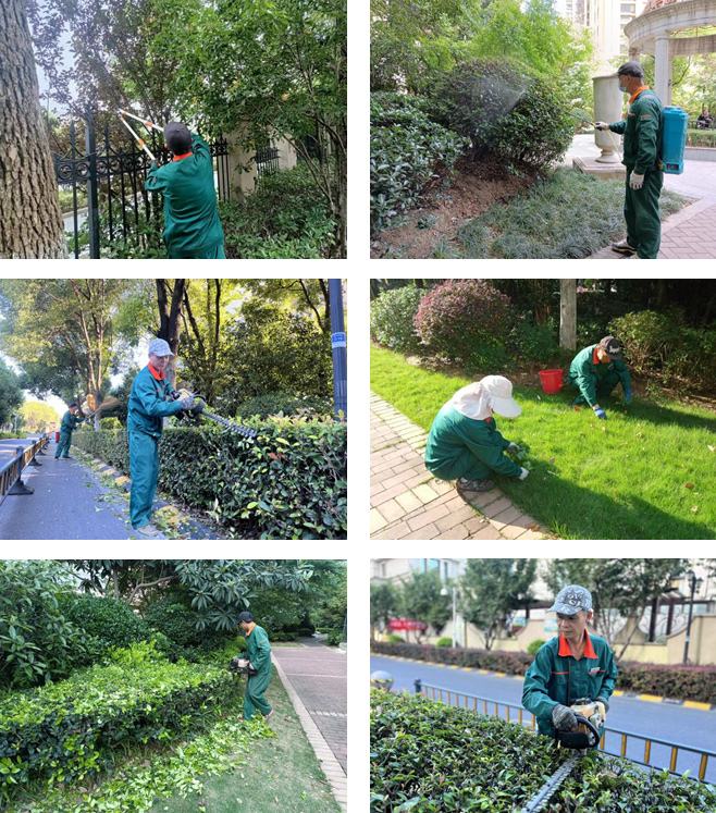 1774588809840127.jpg 1.jpg