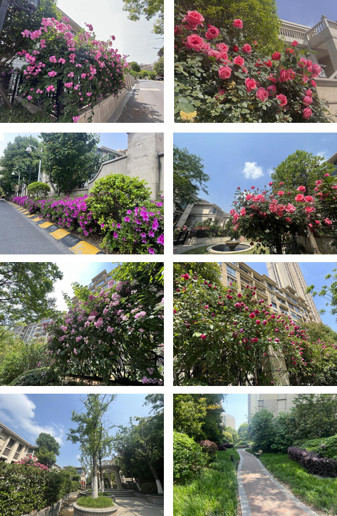 1774588931795433.jpg 1.jpg